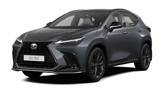 LEXUS NX Серый